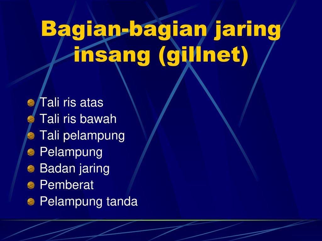 MELAKUKAN PENANGKAPAN IKAN DENGAN ALAT TANGKAP JARING INSANG GILLNET